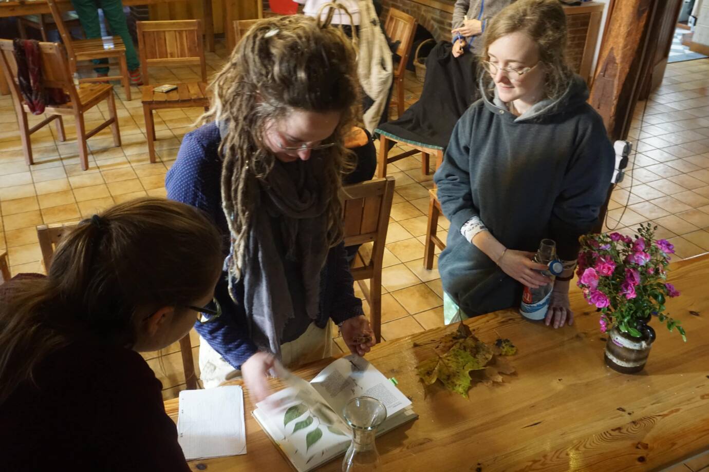 Menschen studieren Pflanzenbuch am Tisch