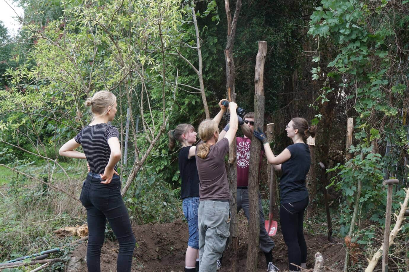 Gruppe repariert Zaun im Wald