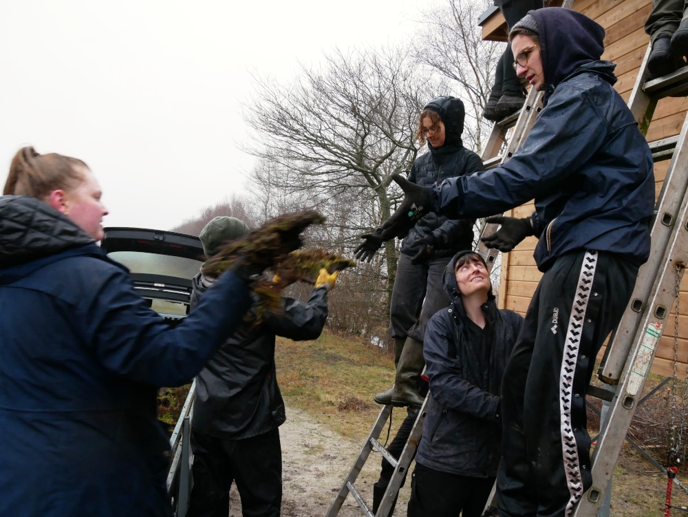 Menschen arbeiten im Freien, tragen Materialien hoch.