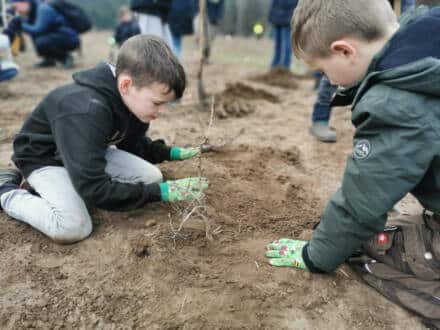 Kinder pflanzen Baumsetzlinge im Boden.