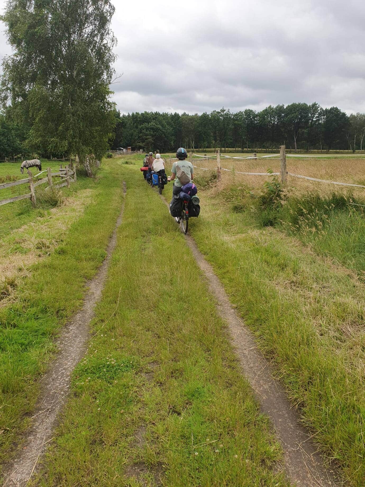 Radfahrer auf ländlichem Weg mit Wiese und Bäumen.