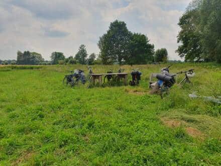 Fahrräder auf Wiese neben Picknicktisch