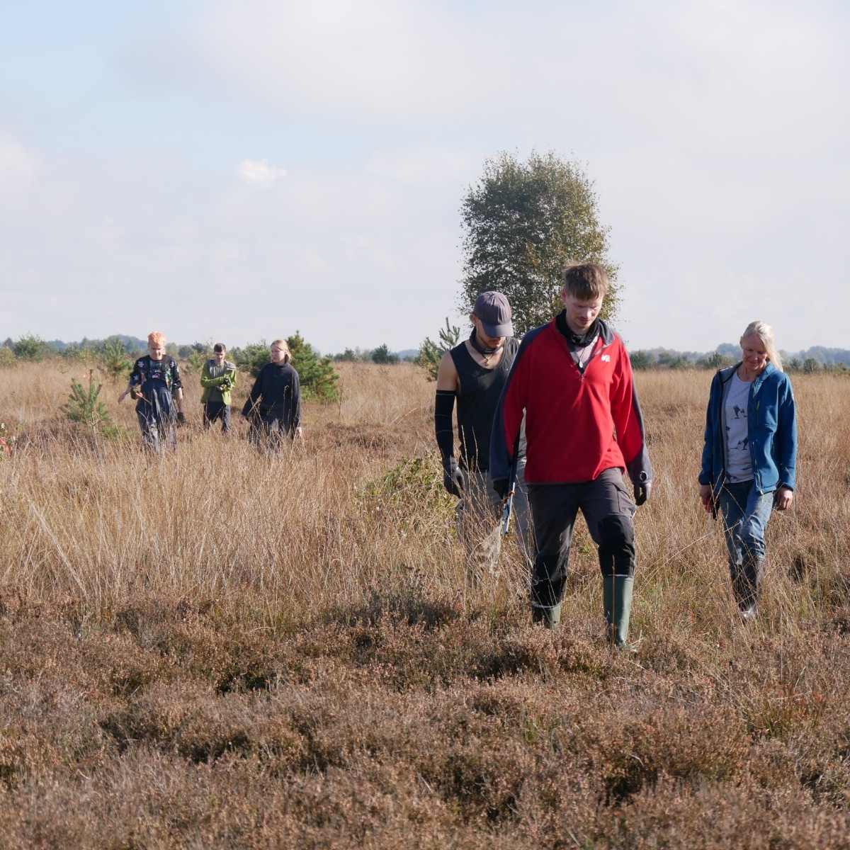 Menschen wandern durch eine Wiesenlandschaft.