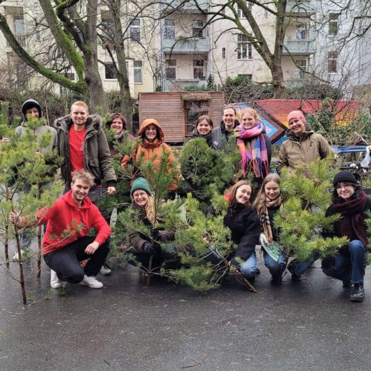 Gruppe beim Tannenbaum-Recycling im Freien