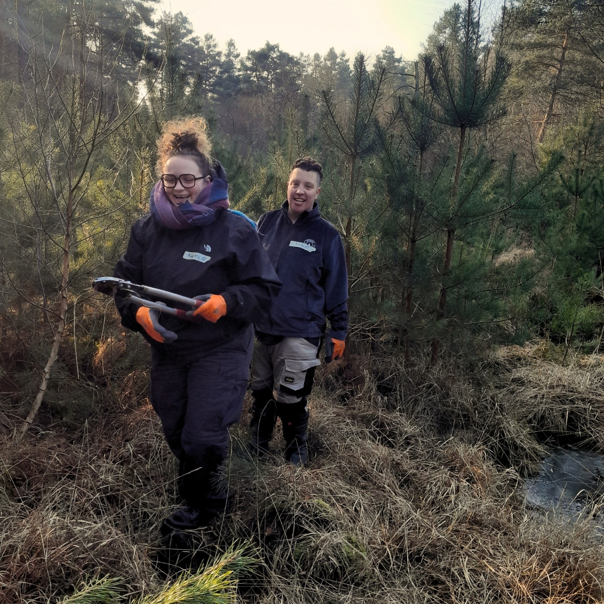 Zwei Personen arbeiten im Wald.