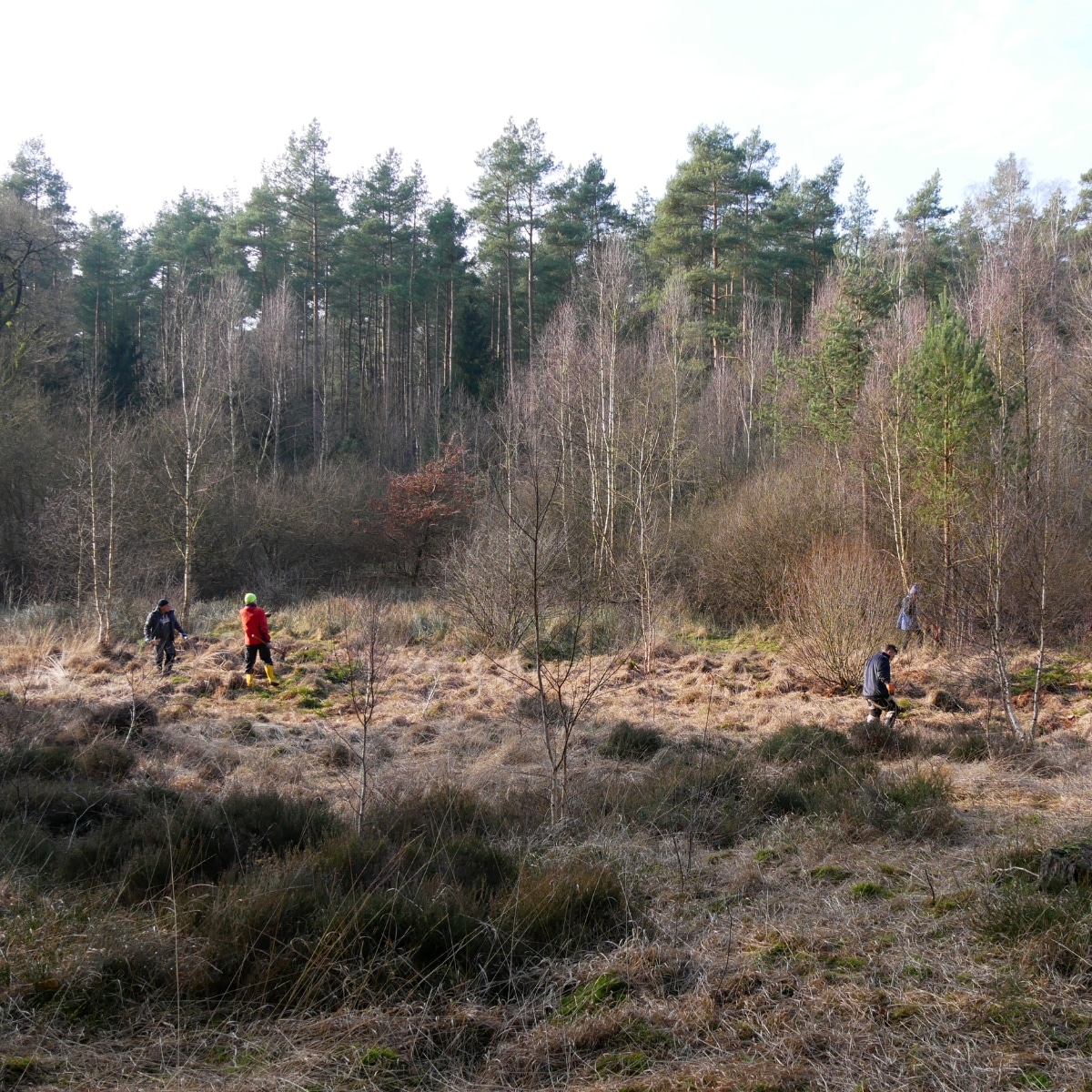 Menschen laufen durch Wald und Wiese.