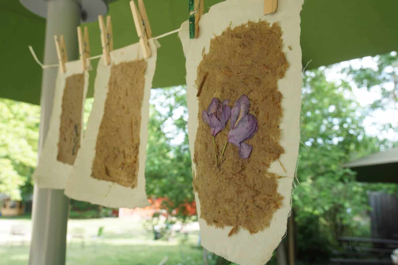 aus Schilf geschöpftes Papier mit gepresster Blüte hängt an Wäscheleine