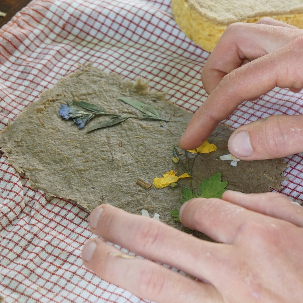 Hand legt Blumen auf selbstgemachtes Papier.