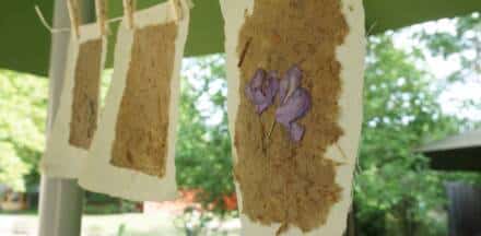 Handgemachtes Papier mit gepressten lila Blüten.