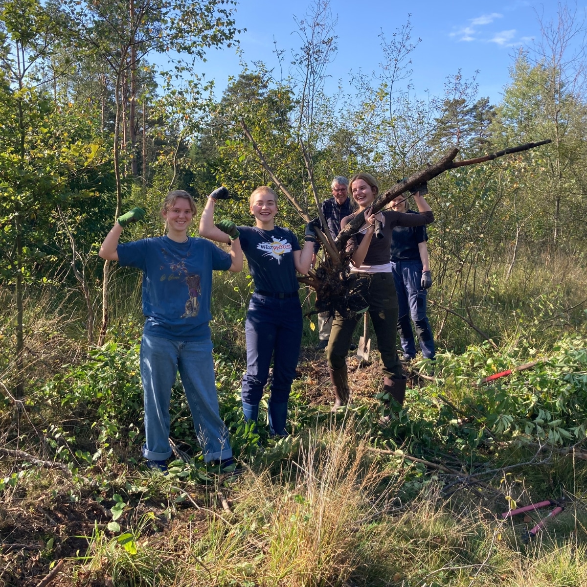 Gruppe von Menschen pflanzt Bäume im Freien.