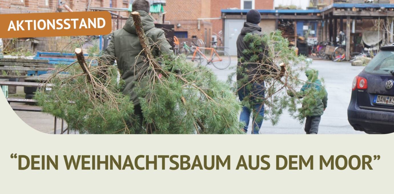 Leute tragen Weihnachtsbäume in einem Innenhof.