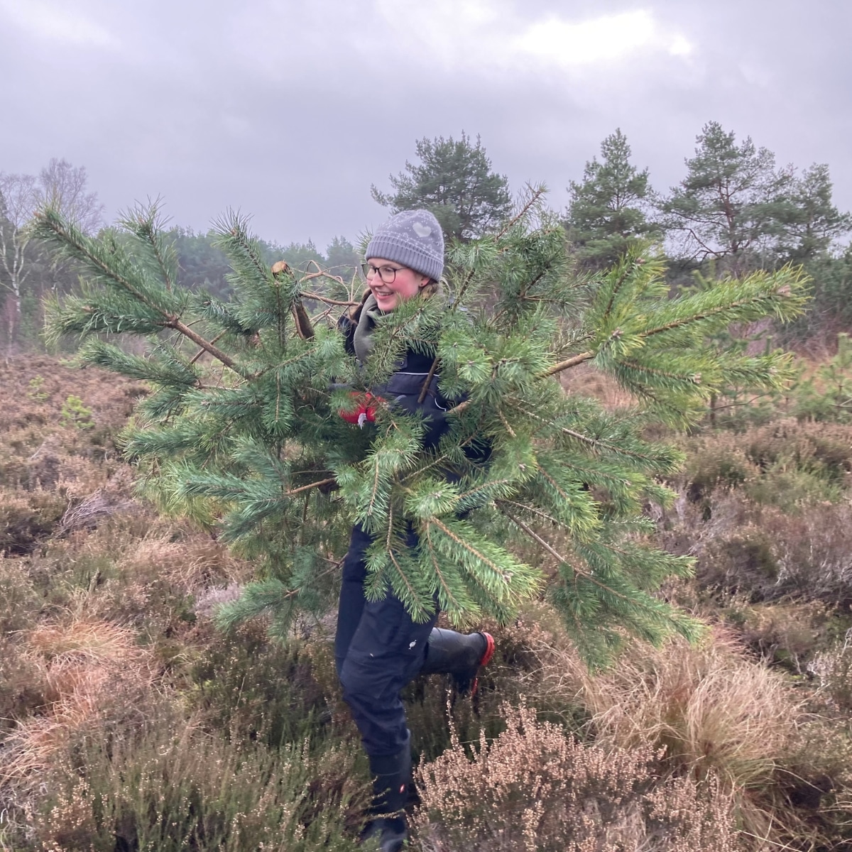 Lächelnde Person trägt große Tannenzweige im Freien.